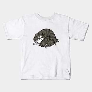 All Curled Up--Longhaired Scottish Fold Tabby Style Kids T-Shirt